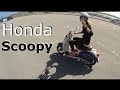 My Wife S 50cc Honda Scoopy Scooter
