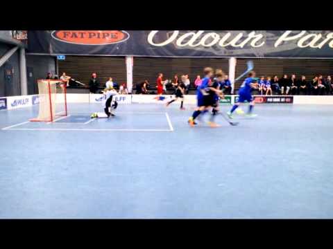 Leevi maalissa 26/11/2013