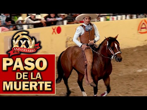 2022 THV Millionaire Championship - Chilling Steps of Death, September 3