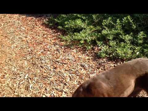 On the open space trail