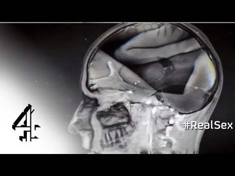 Porn on the Brain | Channel 4