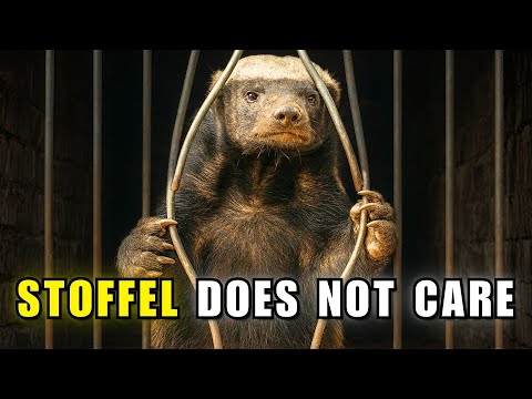 Stoffel The Honey Badger Don’t Give a Sh*t