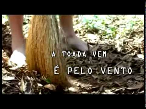 A toada vem é pelo vento...