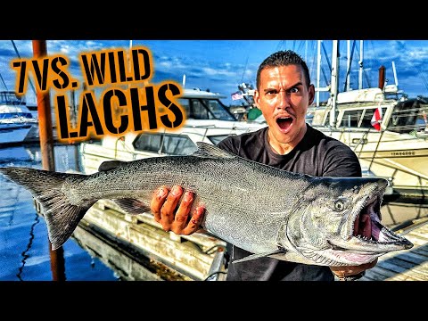 Video Thumbnail: 7 vs. Wild KÖNIGSLACHS aus Kanada - Originale Flammlachs-Zubereitung | Survival Mattin