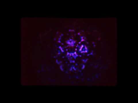 Foxlane - Birmingham (Official Audio)