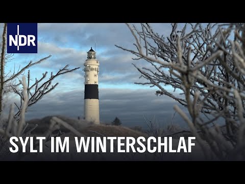 Video Thumbnail: Sylt im Winter - Auszeit vom Saisontrubel | Nordseereport | NDR Doku