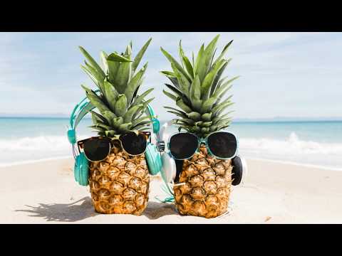 DALMATINO - Ljetni fjužn (Summer beach fusion)