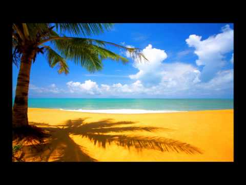 Aelpéacha - Pas De Substitut -  (Gangsta Music)