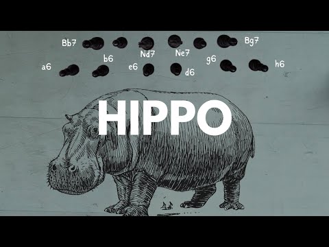 The Hippo · Plans, Patterns and Ideas in the Hippopotamus Opening