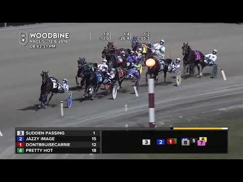 Woodbine, Mohawk Park, December 8, 2018 Race 5
