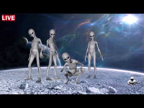 Ufo Entertainment - Uzi Bass (Full Album)