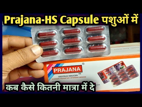 Prajana-HS Capsule use in Animals||Pashuon ko kab kase kitni matra mein de