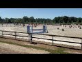 Poney sport