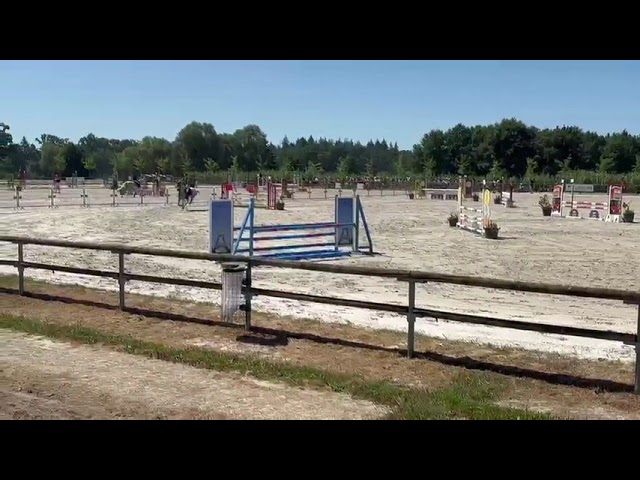 Poney sport