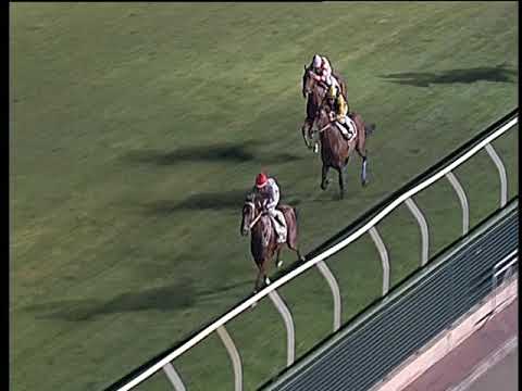 Galoppo 31/07/2019 - 5ª corsa