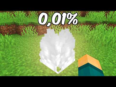 I found the RAREST Minecraft Blocks