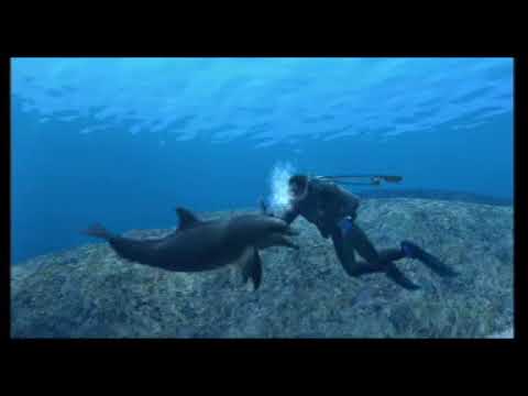 Endless Ocean trailer - Nintendo