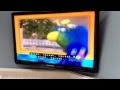 The Honker Duckie Dinger Jamboree