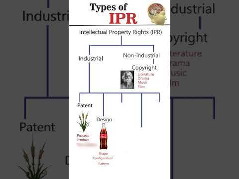 Types of Intellectual Property Rights (IPR) #competitiveexams