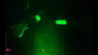 Margin of Error Live in D.C. 2008.