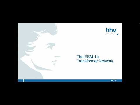 3.4 The ESM protein language models