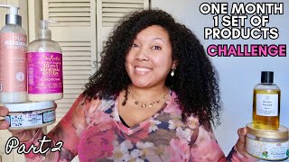 ONE MONTH, *ONLY* ONE SET OF PRODUCTS CHALLENGE - PART 2 | Ashkins Curls
