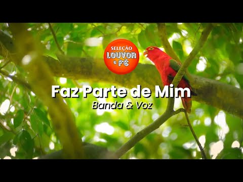 Faz Parte De Mim - Banda e Voz