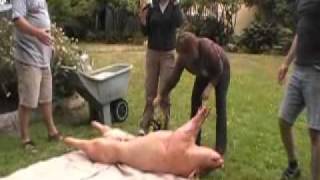 preview picture of video 'Pig Roast in Eureka california'