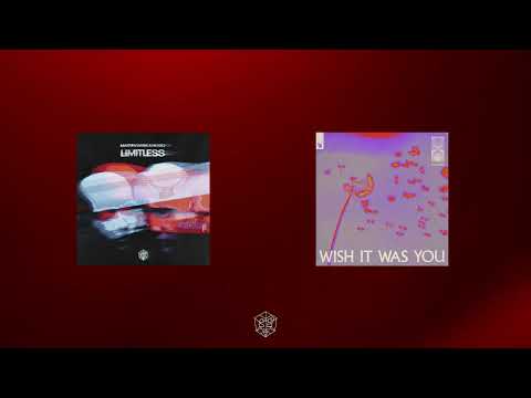 Audien ft. Cate Dawney vs. Martin Garrix vs. Mesto - Wish It Was You vs. Limitless (Audien Mashup)