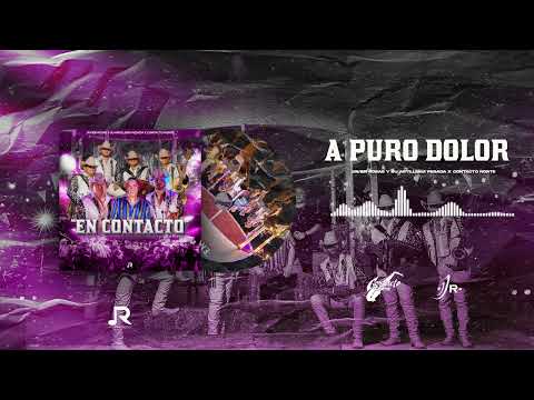 Javier Rosas y Su Artilleria Pesada, Contacto Norte - A Puro Dolor (Audio Oficial)