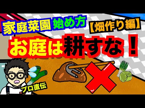 トリュフの栽培: 自宅の庭で行う方法 庭の練習