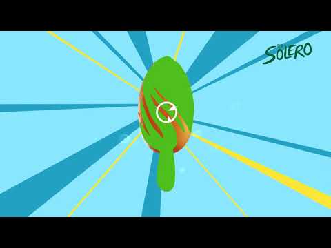 Walls Solero – Taking Your Happiness Seriously since 1922