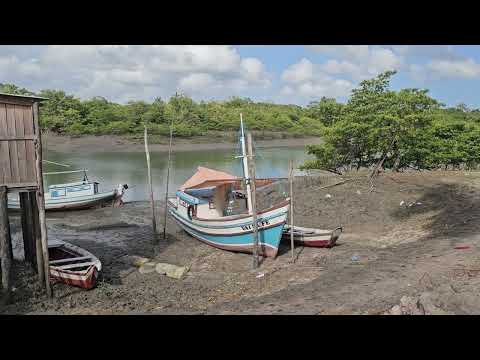 COMUNIDADE DE MIRINZAL-RESERVA EXTRATIVISTA DE CURURUPU-MARANHÃO.
