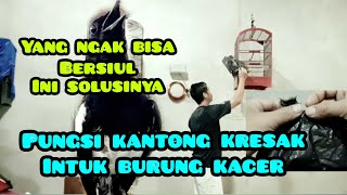 Download lagu fishing for the sound of kacer using a crackle bag mp3 Download lagu fishing for the sound of kacer using a crackle bag mp3