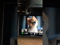 Sony A7Riii Photography Cinematic Viral Shots NOW