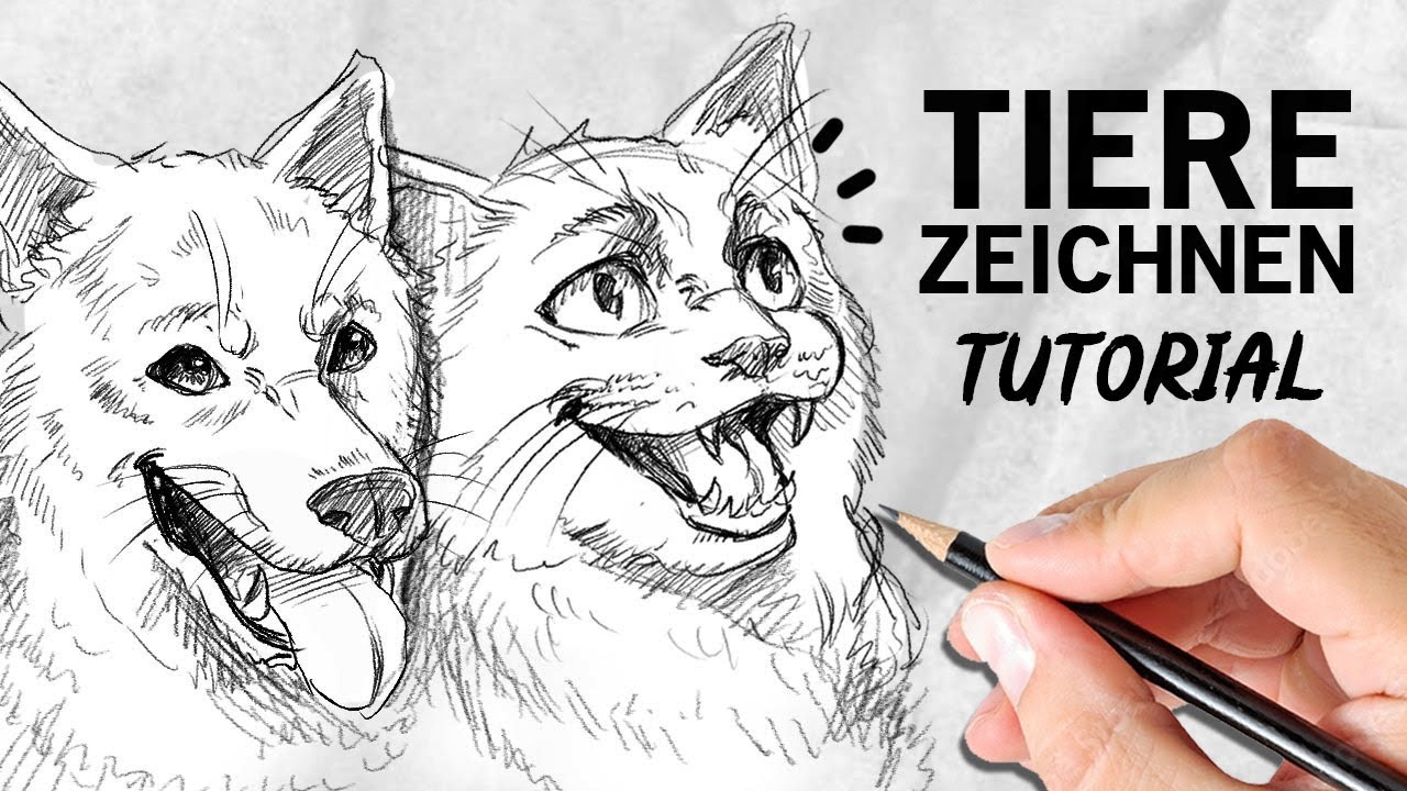 Tiere zeichnen lernen | Tutorial | Drawinglikeasir