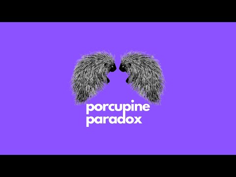 Porcupine Paradox ● The Broken Mirror (3)