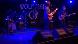 Wolf Mail@Meisenfrei Bremen-Germany 25.10.2016-So fine