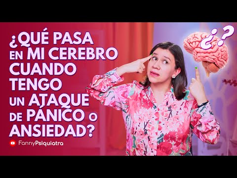 What happens in my brain when I have a panic or anxiety attack?