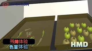 Disabilities experience - Colorblind experience