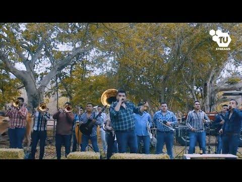 No Vale Nada La Vida - Corrido De Mazatlán - Quiero Charlar Con La Muerte - El Ayudante - Max Peraza