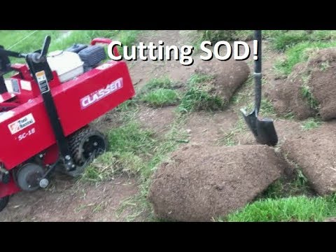 Don't Know What I'm Doing - Sod Cutter