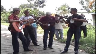 preview picture of video 'merengue campesino PAZ POR VENEZUELA castro y su g'