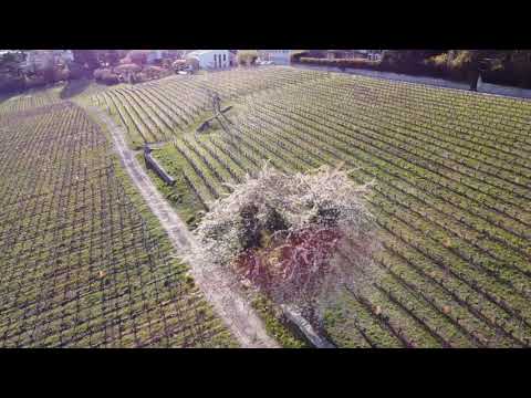 NeuchByVignes Corcelles Cormondreches