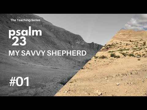 My Savvy Shepherd | Psalm 23 Pt 1 | EP034