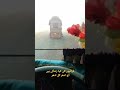 Truckada Viral Videos