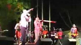 Djomula | Saltwater Band and Geoffrey Gurrumul Yunupingu | 2007 Telstra Art Awards, Darwin