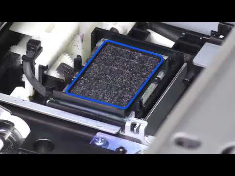 Cleaning the Capping Station and Wiper