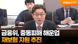 금융위, 중동피해 해운업 재보험 지원 추진 / 연합뉴스TV (YonhapnewsTV)