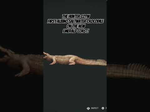 ALBINO SALTWATER CROCODILE On theHunter: Call of The Wild NEW Emerald Coast! #shorts #fypシ #trending